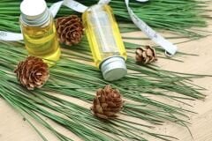 Çam Terebentin Yağı 100 ml