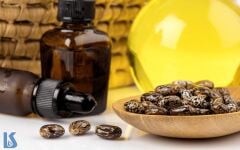 Hint Yağı 100ml