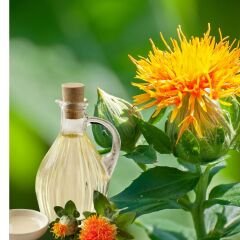 Aspir Yağı 100ml