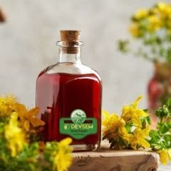 Kantaron Yağı 100 ML