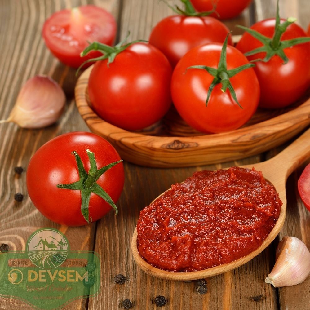 Hatay Odun Ateşinde Domates Salçası 1 kg